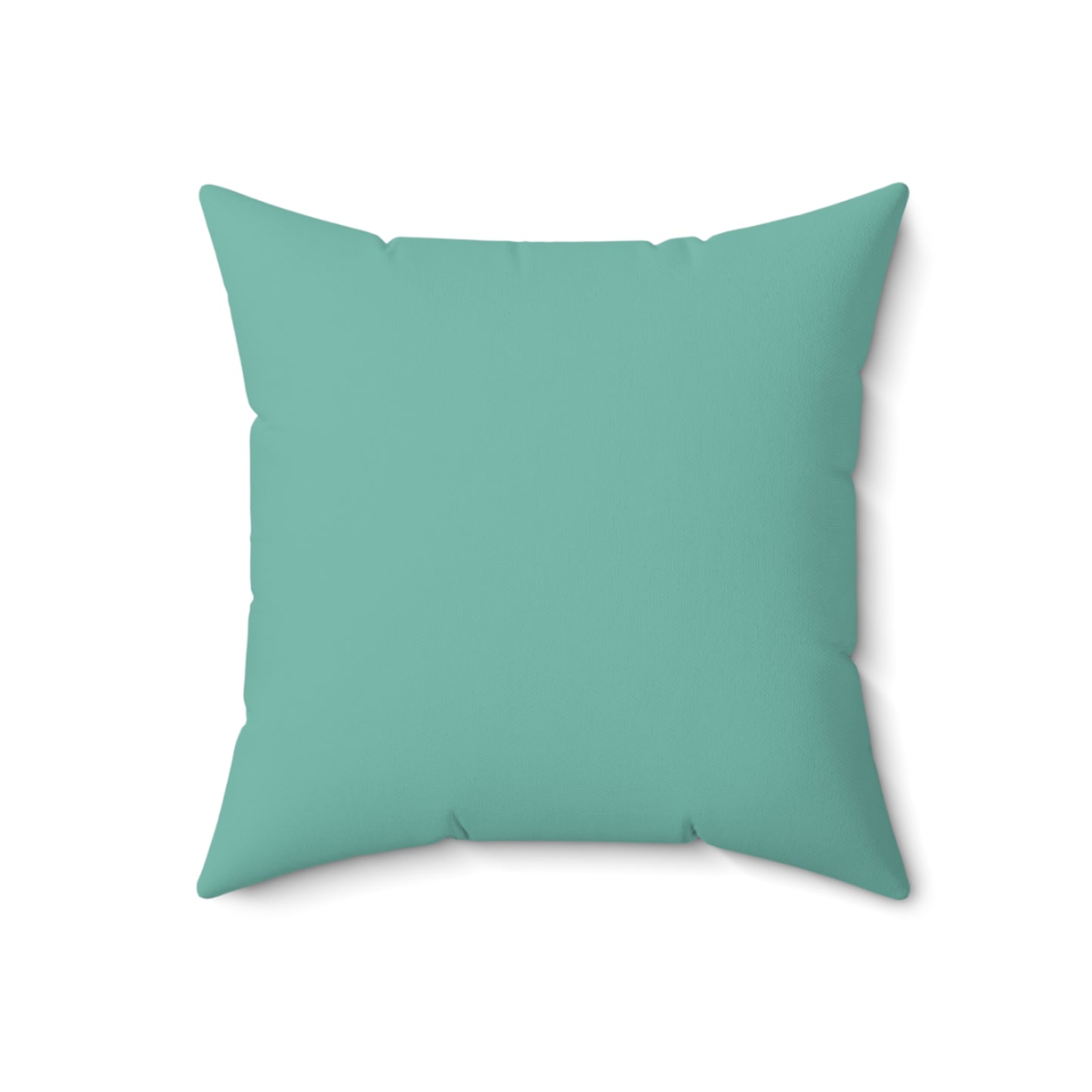 The back of the pillow is a mint green.